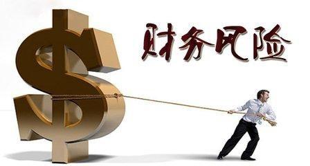公司財務(wù)風(fēng)險的分析與防范的對策